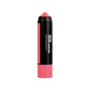 ARTIST COLOR CRAYON Multi-use stick: creamy texture for cheeks, eyes & lips