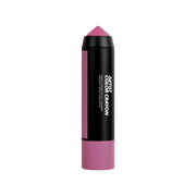 ARTIST COLOR CRAYON Multi-use stick: creamy texture for cheeks, eyes & lips