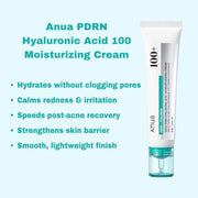 Anua - PDRN Hyaluronic Acid 100 Moisturizing Cream